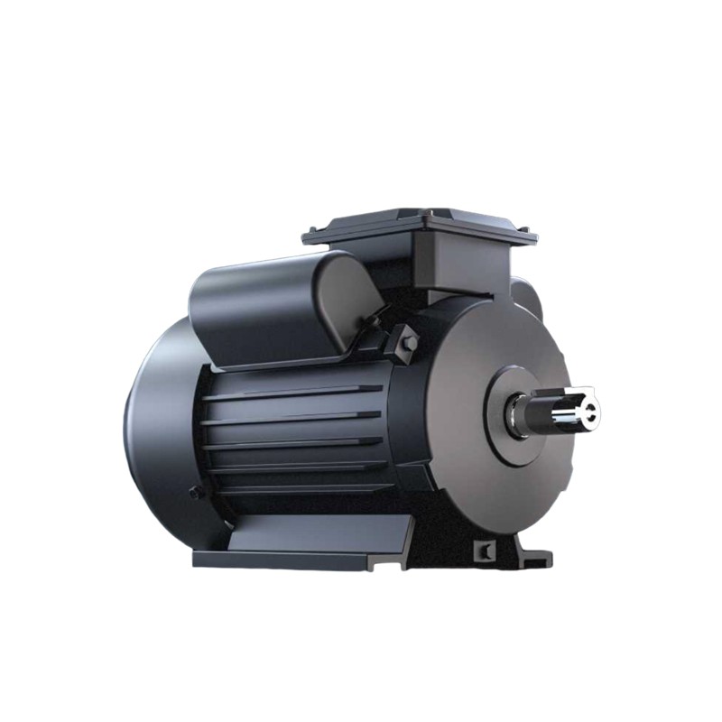 ML Series Single Phase Motor